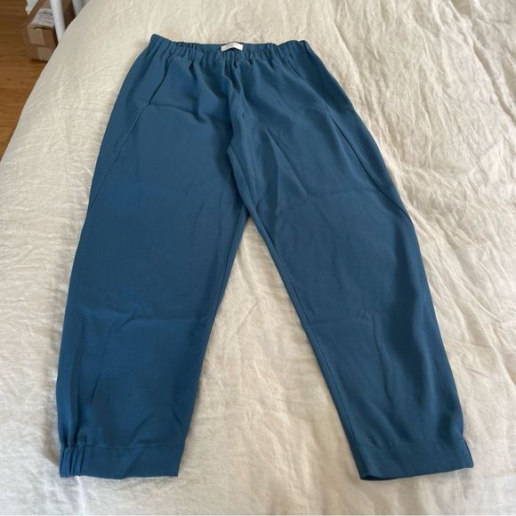 Aritzia Pants - Aritzia blue Babaton pants